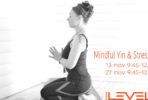 yin-yoga-tanja-dyredand-2016-studio-levels